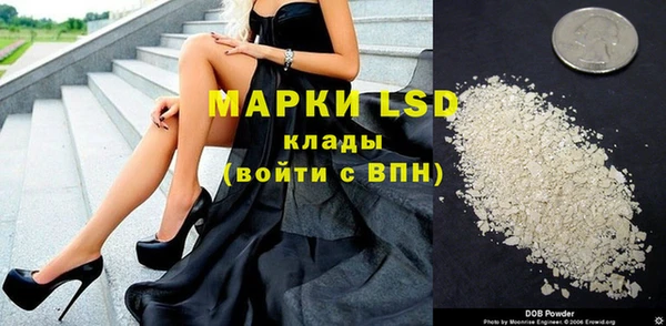 ГАЛЛЮЦИНОГЕННЫЕ ГРИБЫ Медногорск