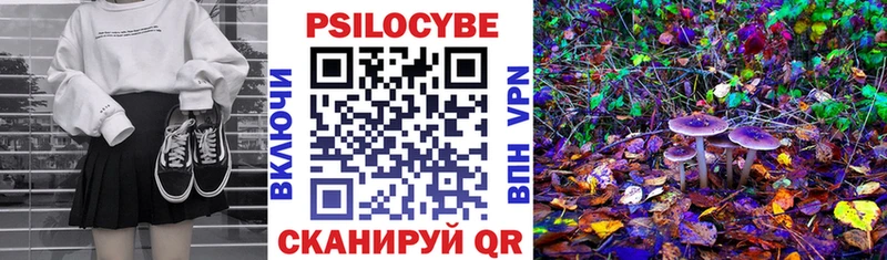 Купить закладки  Наволоки  Галлюциногенные грибы прущие грибы 